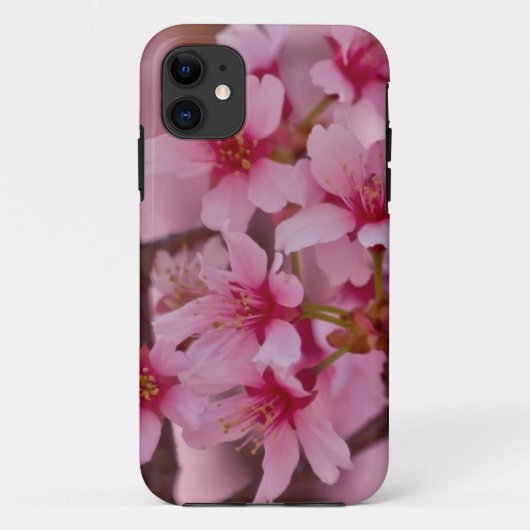 Bathed in rosa japanischen Kirschblüten Sakura Case-Mate iPhone Hülle (Rückseite)