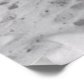 BATHERS at LINCOLN PARK - CHICAGO 1919 Poster (Ecke)