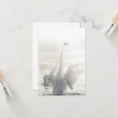 Bathing Swan Foto Karte (Vorderseite/Rückseite Beispiel)