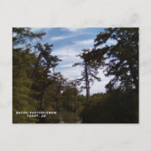 Batholomew, Tarry, AR Postkarte (Vorderseite)