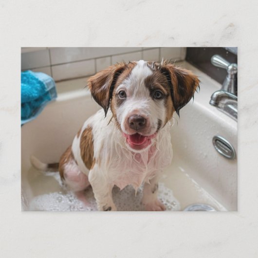 Bathtime Puppy in Sink Postcard Postkarte (Vorderseite)