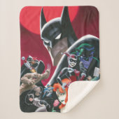 Batman Adventures Dangerous Dames & Demons Sherpadecke (Vorderseite)