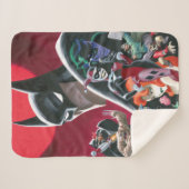 Batman Adventures Dangerous Dames & Demons Sherpadecke (Vorderseite (Horizontal))