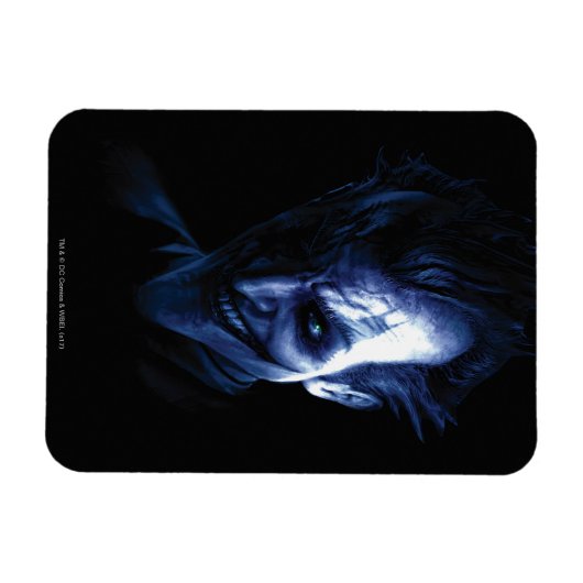 Batman: Arkham Asylum | Der Joker im Schatten Magnet (Horizontal)