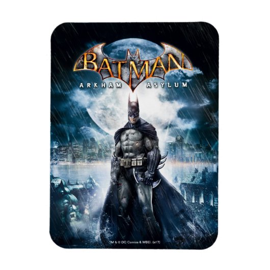 Batman: Arkham Asylum | Game Cover Art Magnet (Vertikal)