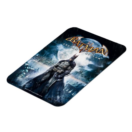 Batman: Arkham Asylum | Game Cover Art Magnet (Linke Seite)