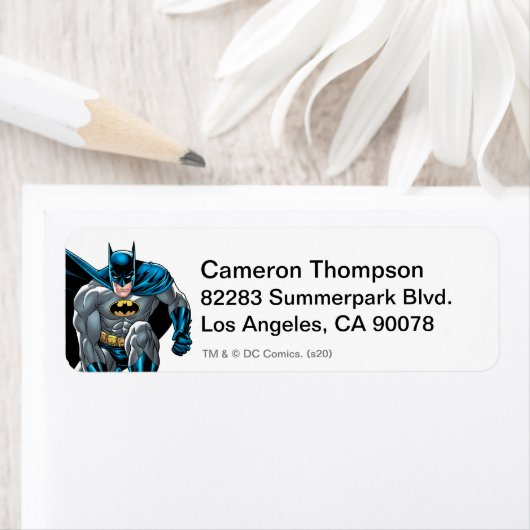 Batman Crouches 2 (Insitu)