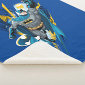 Batman Gotham Guardian Sherpadecke (3/4)