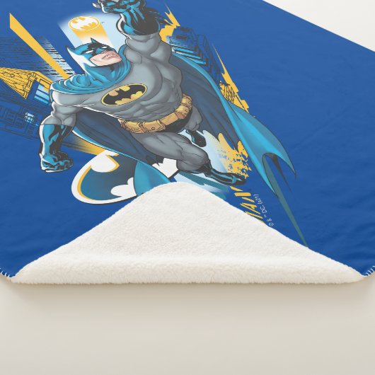 Batman Gotham Guardian Sherpadecke (3/4)