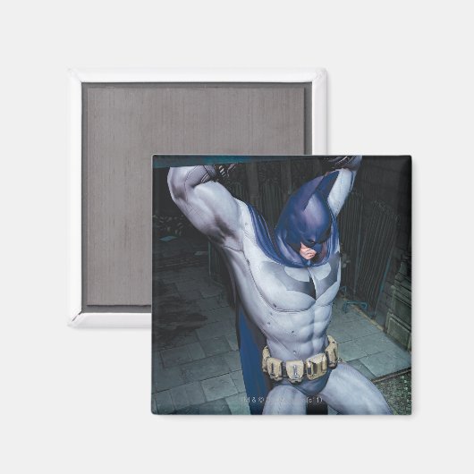 Batman Group 1 Magnet (Vorderseite/Rückseite)