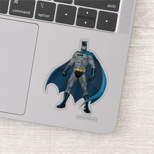 Batman Kicks Aufkleber (Detail)