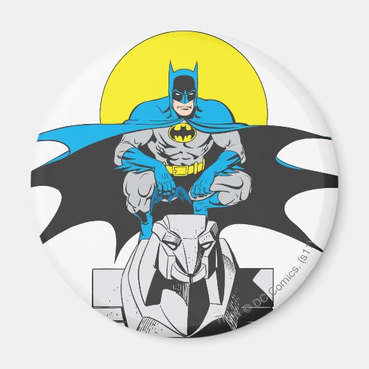 Batman Perches auf Stone Lion Magnet (Vorne)