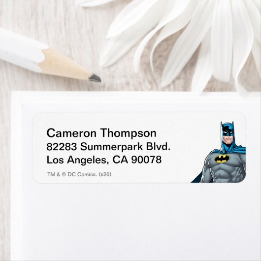 Batman Protector (Insitu)