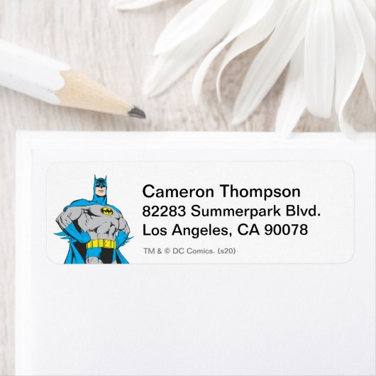 Batman Stands (Insitu)