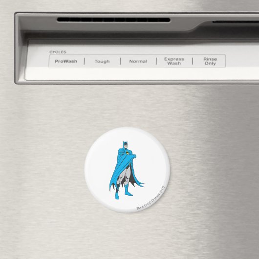 Batman Stands 2 2 Magnet (In Situ (Geschirrspüler))