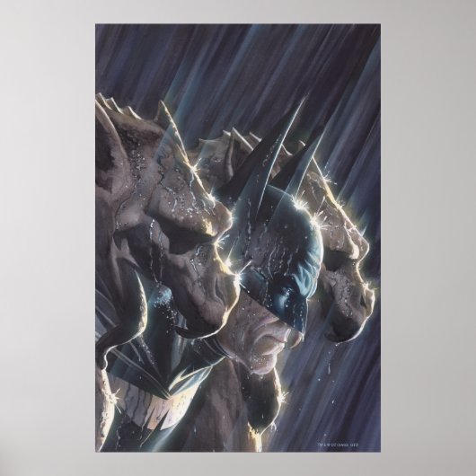 Batman Vol 1 #681 Cover Poster (Vorne)
