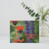 Battgedeckte Blume Fotografisch Botanisch Postkarte (Stehend Vorderseite)