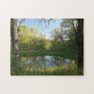 Battle Creek Pond and Forest Puzzle