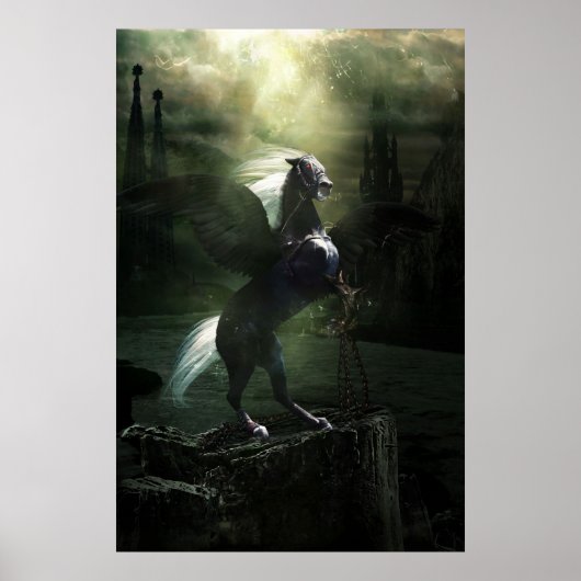 Battle Pegasus Poster (Vorne)