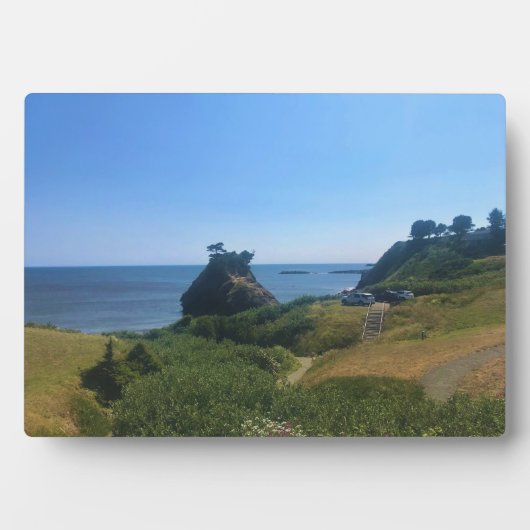 Battle Rock, Port Orford, Fotoplatte (Vorderseite)