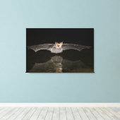 Batttrinken im Flugzeug, Arizona Leinwanddruck (Insitu (Holzboden))