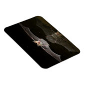 Batttrinken im Flugzeug, Arizona Magnet (Rechte Seite)