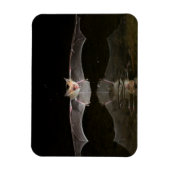 Batttrinken im Flugzeug, Arizona Magnet (Vertikal)