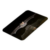 Batttrinken im Flugzeug, Arizona Magnet (Linke Seite)