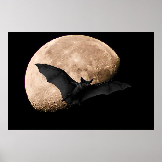 Batty Moon Poster (Vorne)