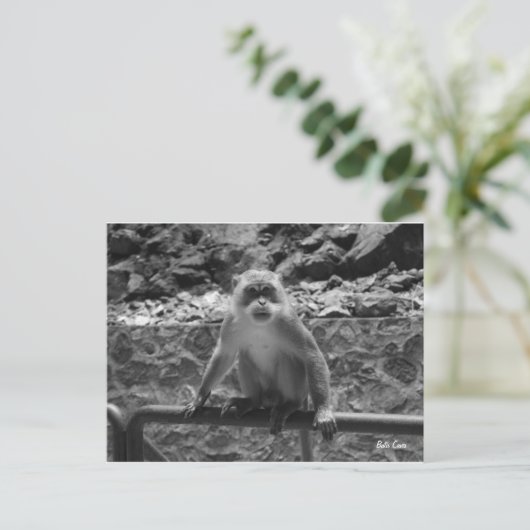 Batu Caves Postkarte (Stehend Vorderseite)