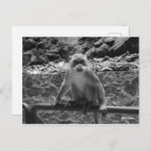 Batu Caves Postkarte (Vorne/Hinten)