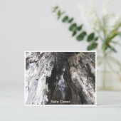 Batu Höhlen Malaysia Postkarte (Stehend Vorderseite)