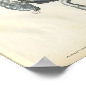 Bauchorgananatomie Druck Poster (Ecke)