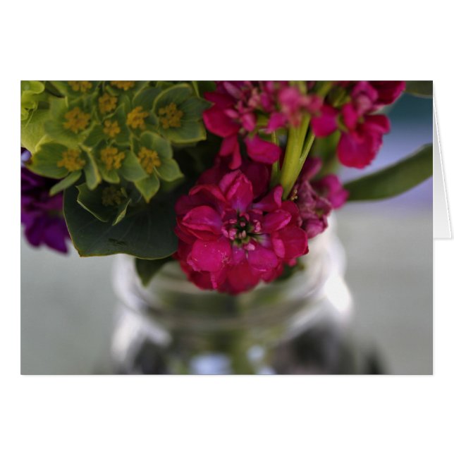 Bauer Blume (Vorderseite (Horizontal))