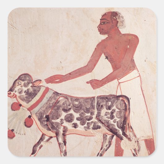 Bauer, der eine Kuh zum Opfer führt Quadratischer Aufkleber (Vorderseite)