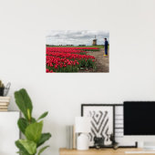 Bauer, der seine Tulpen und seine Windmühle kontro Poster (Heimbüro)