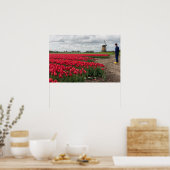 Bauer, der seine Tulpen und seine Windmühle kontro Poster (Küche)