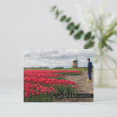 Bauer, der seine Tulpen und seine Windmühle kontro Postkarte (Stehend Vorderseite)