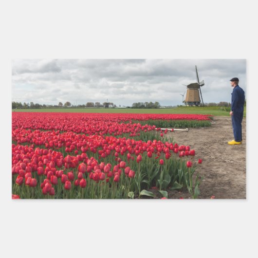 Bauer, der seine Tulpen und seine Windmühle kontro Rechteckiger Aufkleber (Vorderseite)