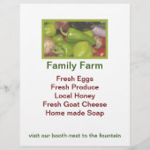 Bauer Flyer (Hinten)