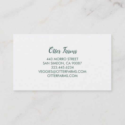 BAUER GARDENING Moderne Landschaftsgärtnerei Veg Visitenkarte (Rückseite)