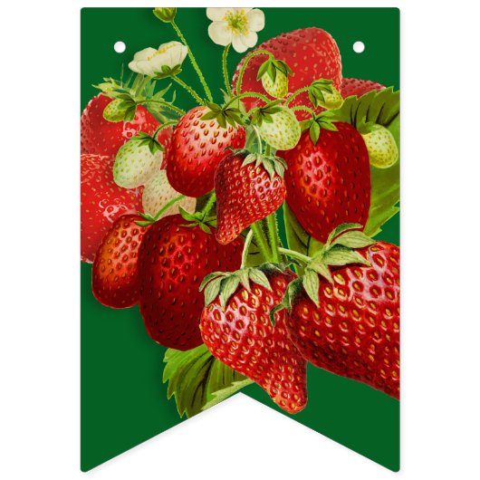 Bauer Gartengarten Gemüse Party Wimpelkette (Erste Fahne)