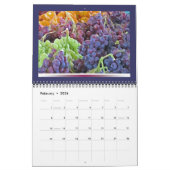 Bauer-Markt 2015-Kalender Kalender (Feb 2026)