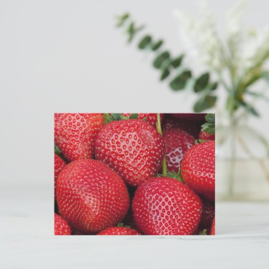 Bauer Markt Erdbeeren Postkarte (Stehend Vorderseite)