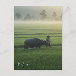 Bauer mit Buffalo Vietnam Reisen Postkarte