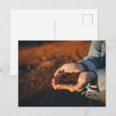 Bauer mit Kaffeebohnen Postkarte (Vorne/Hinten)