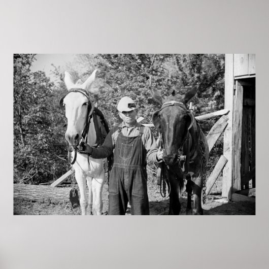 Bauer mit Pflugpferden der 30er Jahre Poster (Vorne)