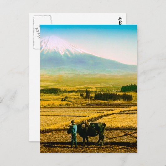 Bauer Oxen Pflüglerfeld im Schatten des Fuji Postkarte (Vorne/Hinten)