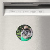 Bauer Pickles Magnet (In Situ (Geschirrspüler))