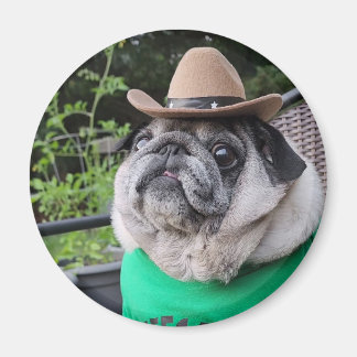 Bauer Pickles Magnet